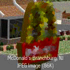 McDonald's: Branchburg, NJ