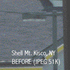 Shell: Mt. Kisco, NY Original Photograph