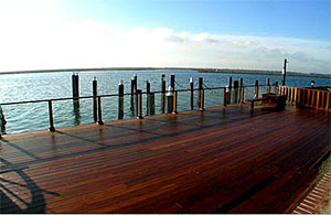Photo of a TREX Deck With Curved Steps and Railings
