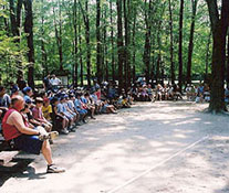 Campers and counselors in the grove