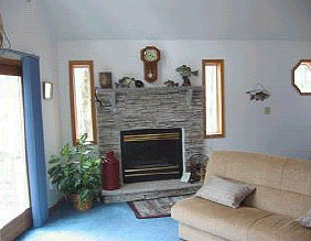 Poconos PA Vacation Home For Sale - Fireplace