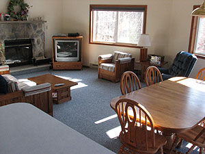 Poconos PA Vacation Home For Sale - Living Room with Fireplace