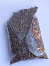 Cacao Beans in a Bag