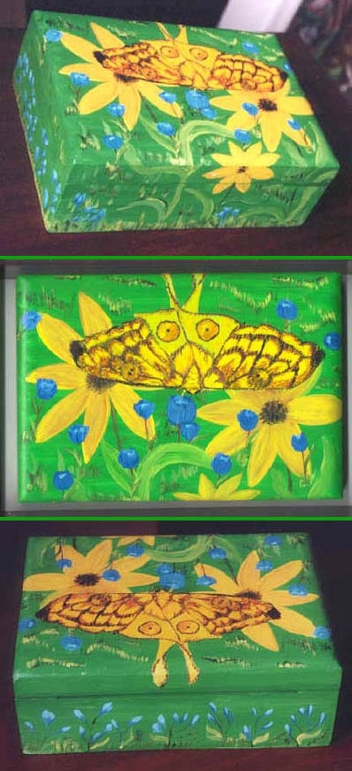 Yellow Moth Box